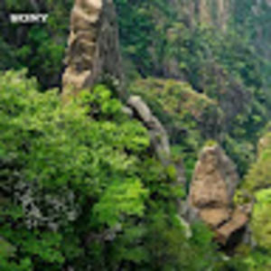 Meet your Posher, Anton